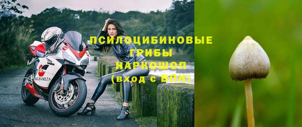 mdpv Володарск