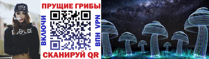 сайты даркнета клад  Задонск  Псилоцибиновые грибы прущие грибы 